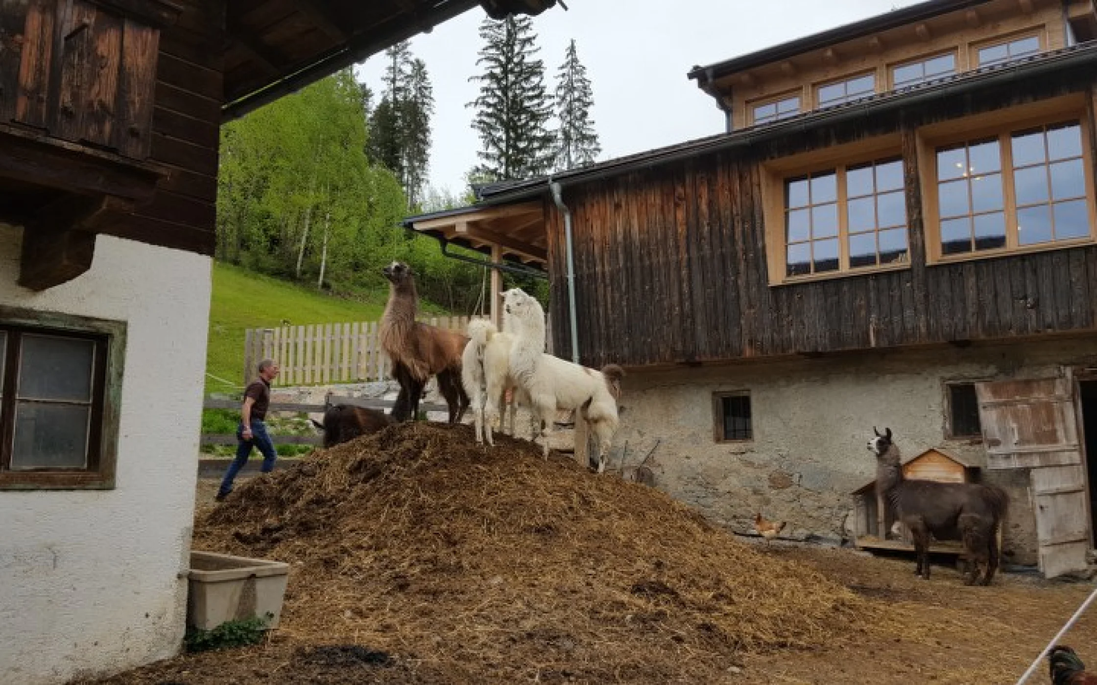 Lehrfahrt SaB 2016 33_800x450.jpg